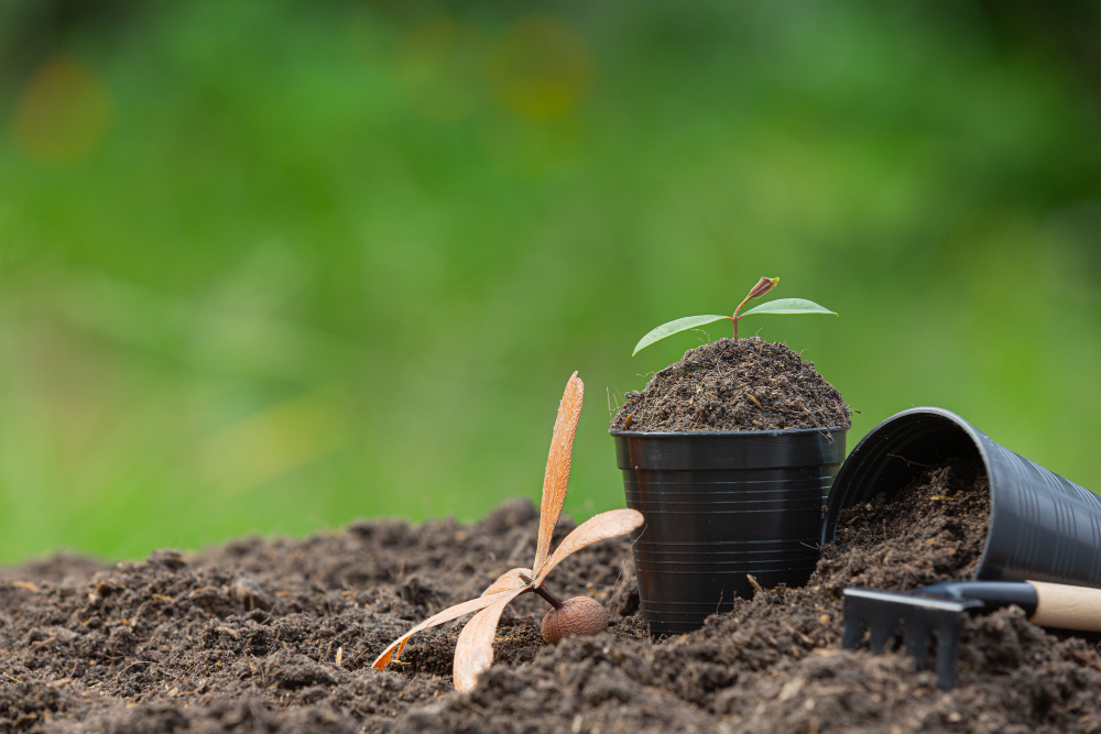 Winter Sowing: A Simple Technique to Grow Native Plants All Year-Round