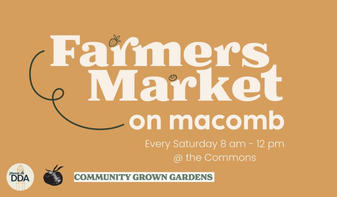 Fresh Finds Every Saturday: The Macomb Street Farmers Market Adventure